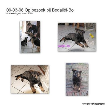 Op bezoek bij Bedaliel-Bo